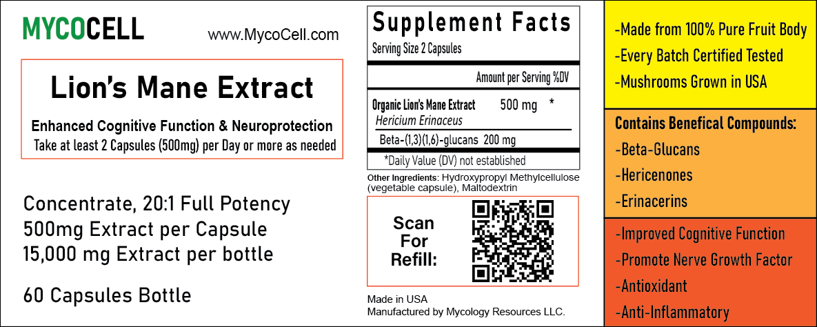 Lion's Mane Extract Capsules