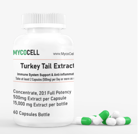 Turkey Tail Extract Capsules