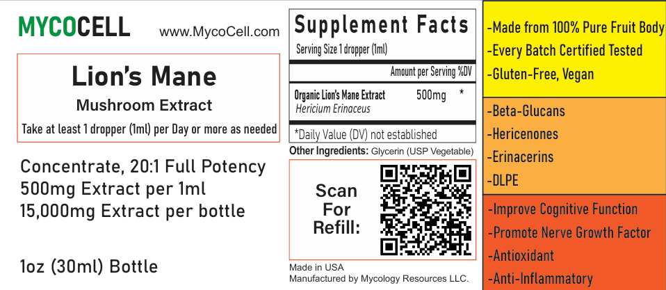 Lion's Mane Extract