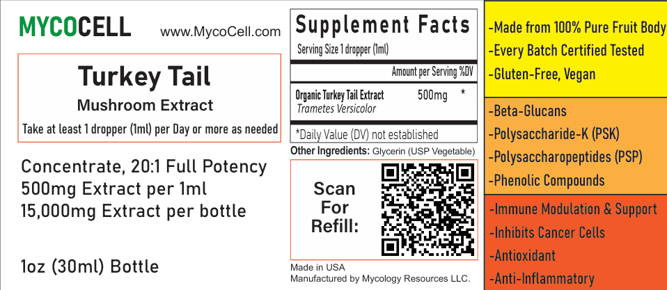 Turkey Tail Extract