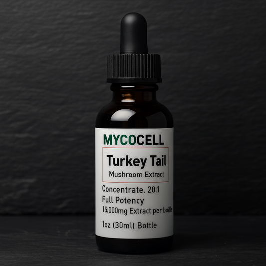 Turkey Tail Extract