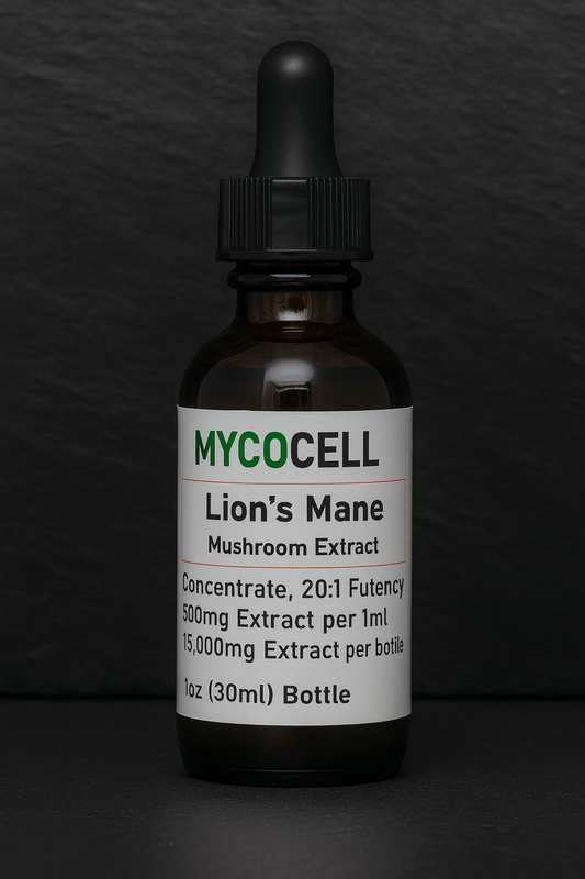 Lion's Mane Extract