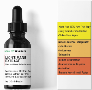 Lion's Mane Extract