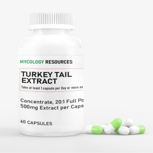 Turkey Tail Extract Capsules